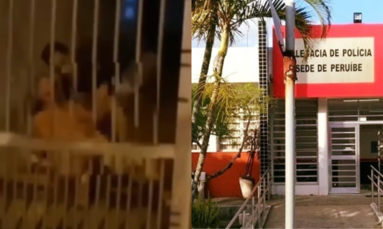 Vídeo mostra mulher sendo atacada por pitbull enquanto apanhava de companheiro em Peruíbe