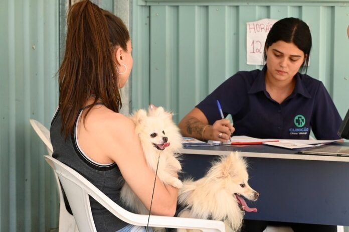 Vila União tem atendimento veterinário gratuito a partir desta segunda