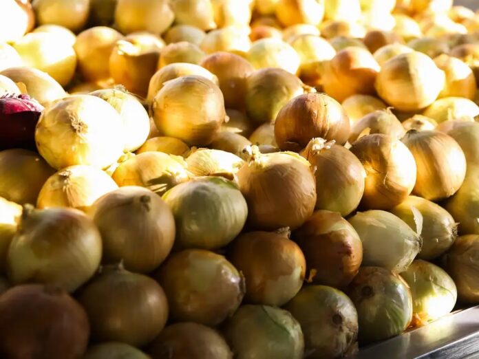 Cesta básica fica mais de R$ 26 mais barata no Vale do Paraíba