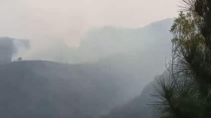 Parque Estadual da Serra do Mar sofre incêndio em Cunha