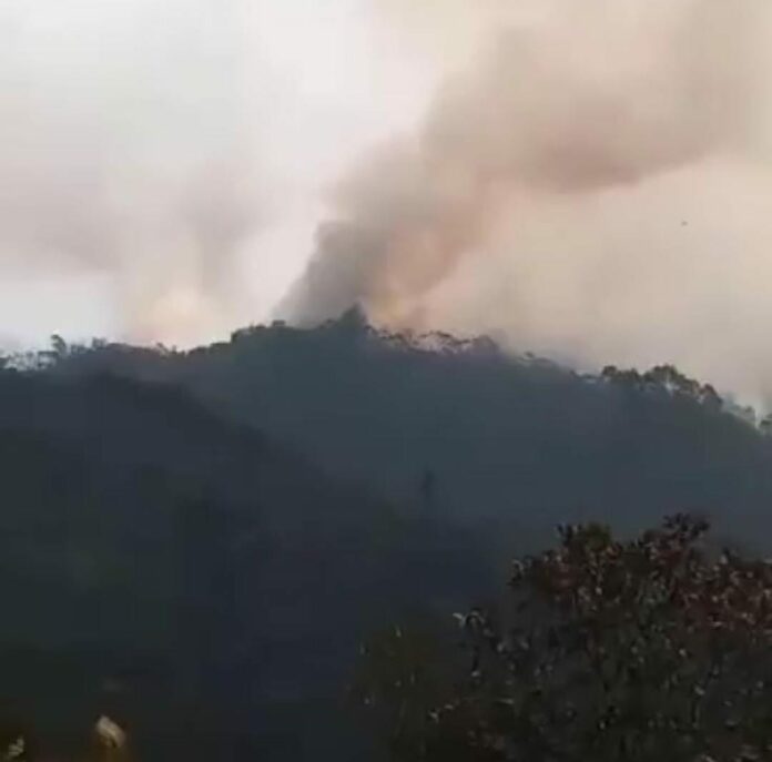 WhatsApp Image 2024-09-05 at 13.04.38 (1) Foco de incêndio em Cunha volta a ficar ativo