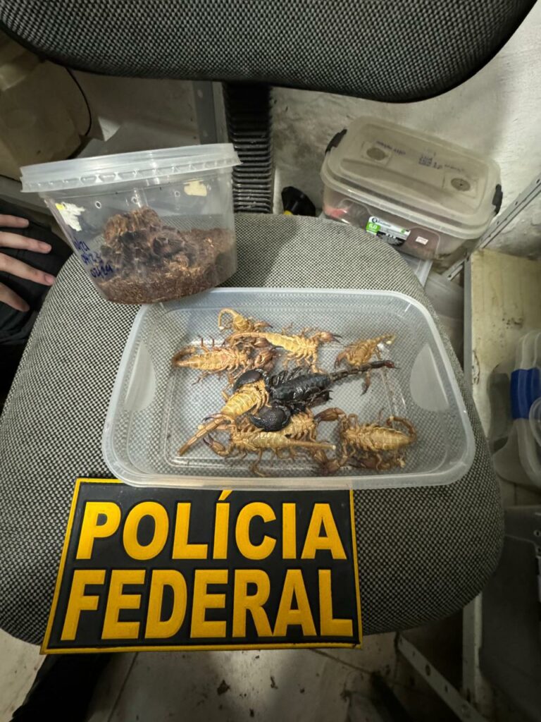 Polícia Federal e Ibama apreendem animais ilegais em Campinas