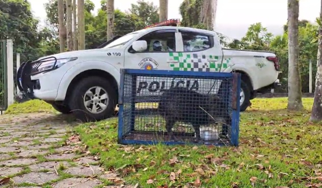 PM Ambiental desarticula esquema de caça em Ubatuba
