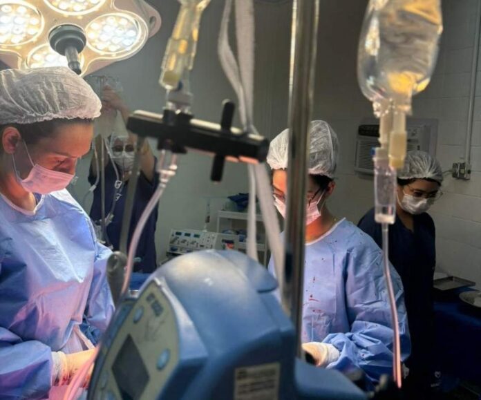 WhatsApp Image 2024-09-09 at 07.43.17