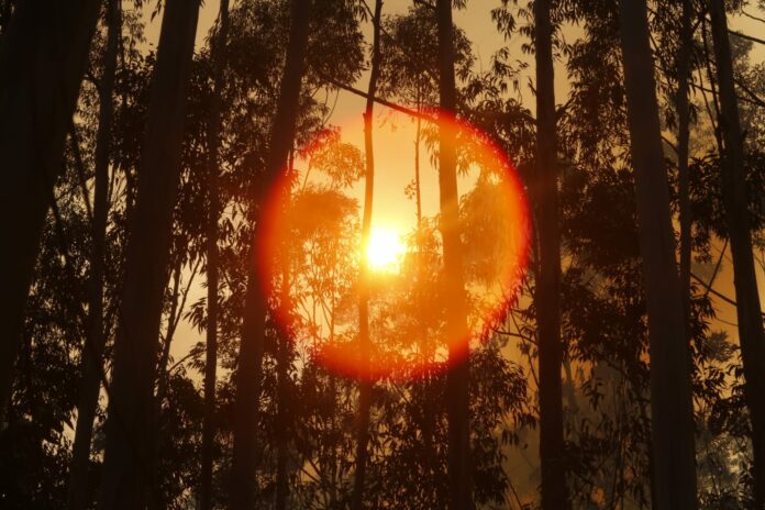 Defesa Civil emite novo alerta de incêndios no Estado