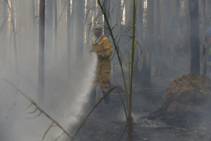 Força-tarefa combate novos focos de incêndio no Pico das Cabras
