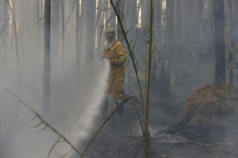 Força-tarefa combate novos focos de incêndio no Pico das Cabras