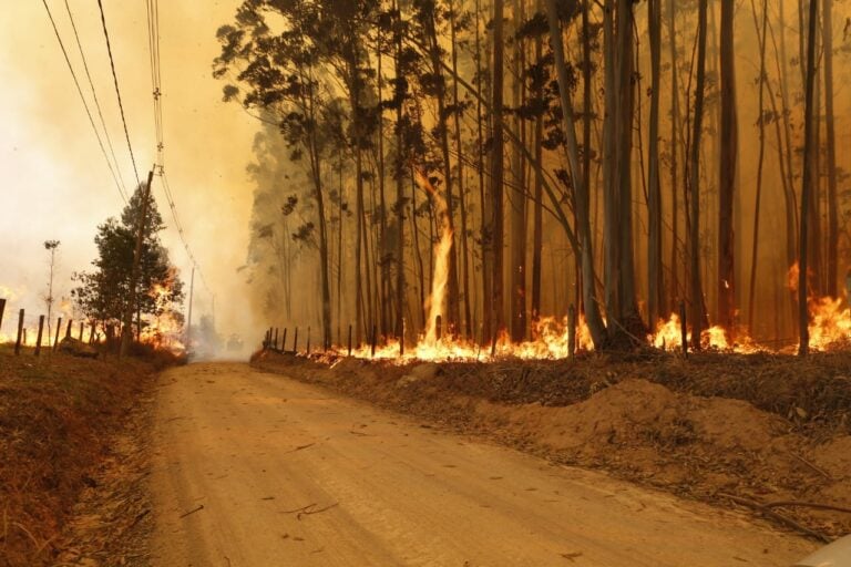 Região de Campinas registra vários focos de incêndios