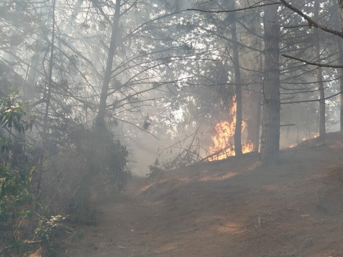 Defesa Civil prorroga alerta de risco para incêndios até sábado no Vale