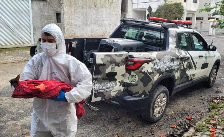 Instituto Gremar e Bertioga completam um ano de parceria no atendimento a animais silvestres