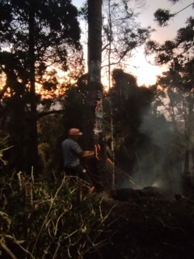 Incêndio em mata fechada atinge a cidade de Bananal