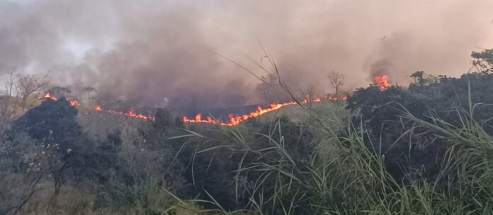 Vale do Paraíba tem quatro cidades com focos de incêndio ativos