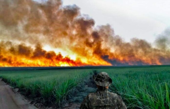 WhatsApp Image 2024-09-13 at 15.50.59