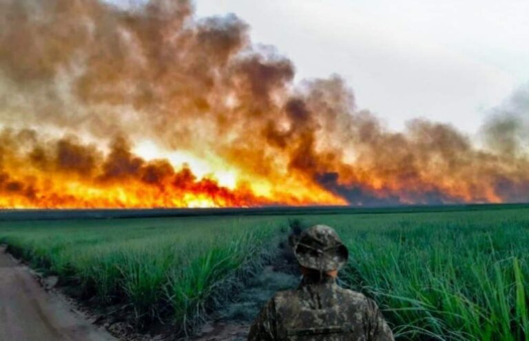 Clealco oferece R$ 10 mil por informações sobre incêndios criminosos em canaviais