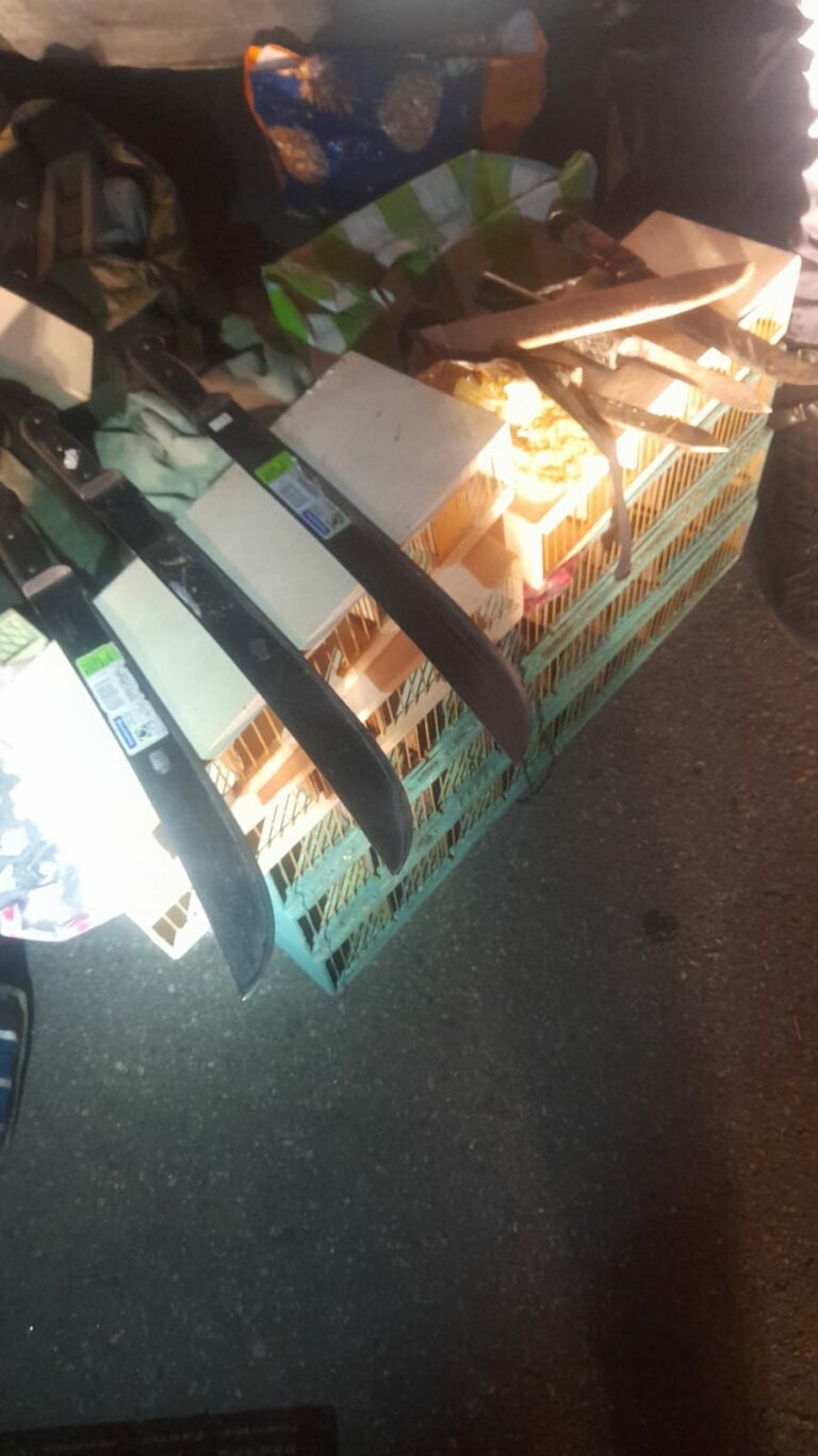 Homem é preso por traficar aves silvestres em Campinas