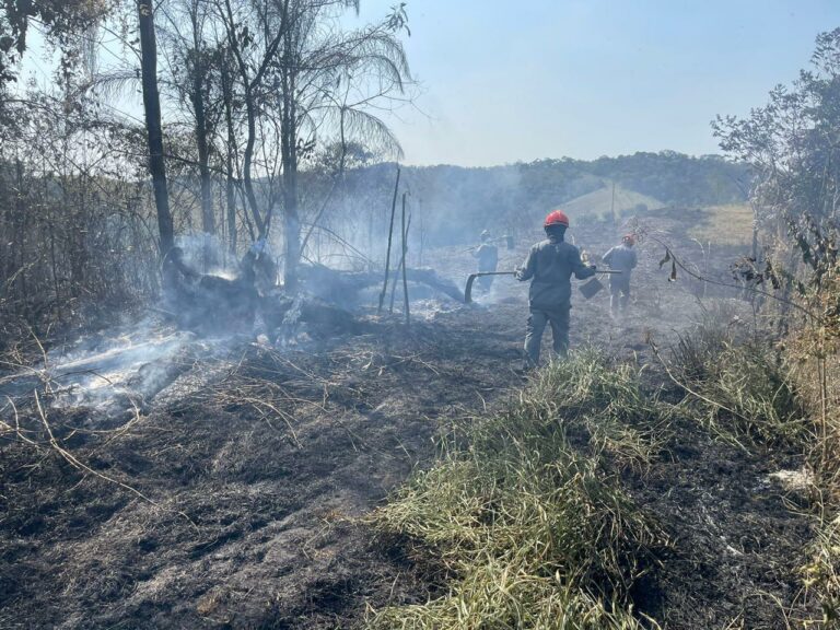 Vale do Paraíba tem foco ativo de incêndio neste sábado (14)