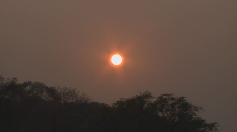 Defesa civil emite alerta para rajadas de vento neste final de semana em Campinas