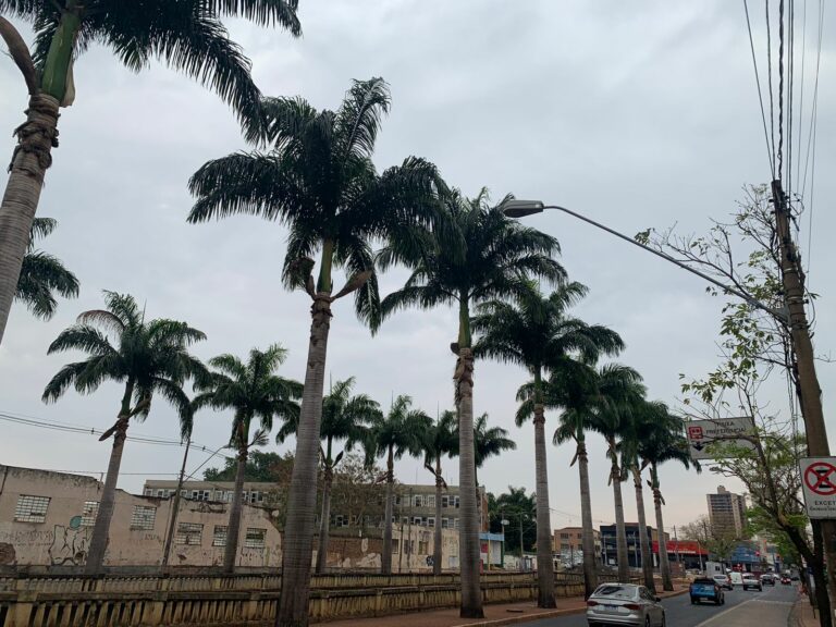 Apesar de chuva, estado de São Paulo tem 11 focos de incêndio
