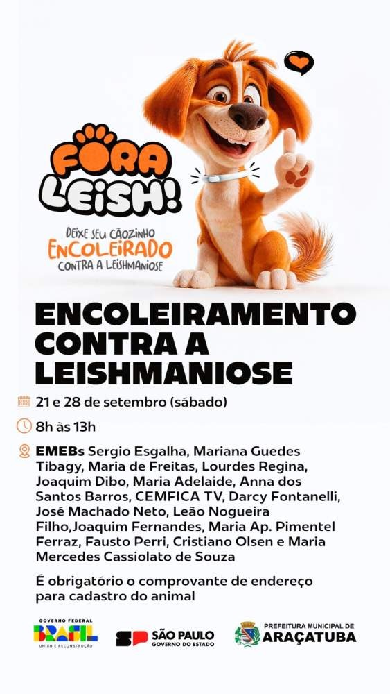 Araçatuba promove encoleiramento de cães contra leishmaniose