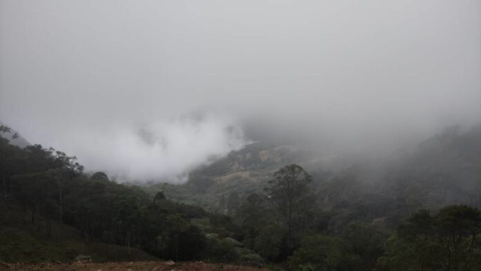 WhatsApp Image 2024-09-17 at 09.34.13 Neblina em Bananal