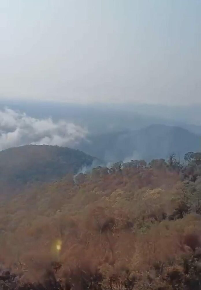 No 9° dia de combate ao incêndio, fogo segue atingindo a Serra da Bocaina No 9° dia de combate ao incêndio, fogo segue atingindo a Serra da Bocaina