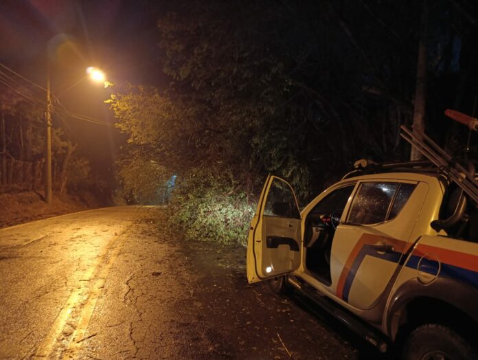 Chuva e rajadas de vento derrubam árvores em Vinhedo