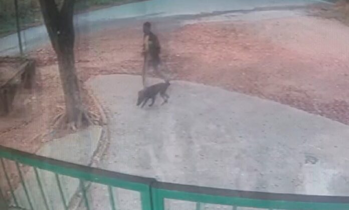 Cachorro é abandonado em frente ao departamento de proteção animal Cachorro é abandonado em frente ao departamento de proteção animal