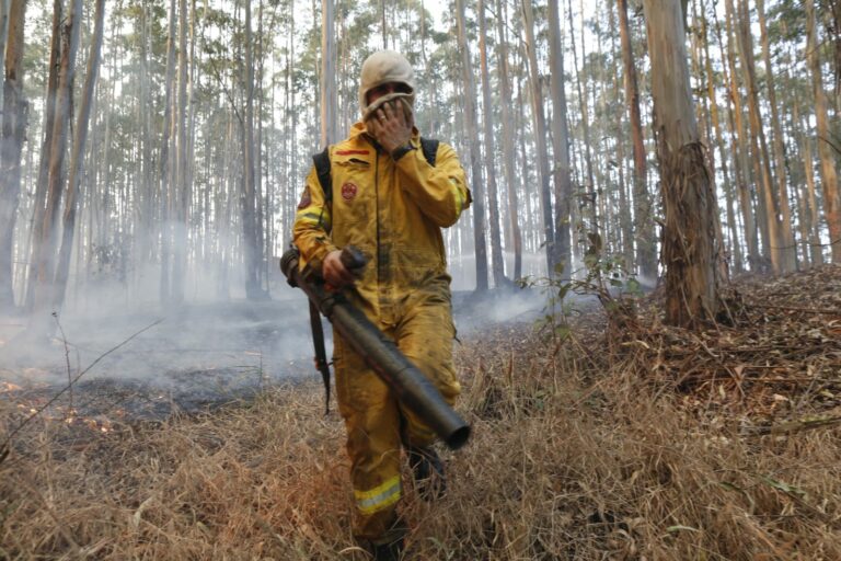 Homem é multado em quase R$ 7 milhões por incêndio criminoso no Pico das Cabras