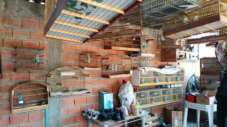 Homem é multado em R$ 303 mil por tráfico de animais em Campinas