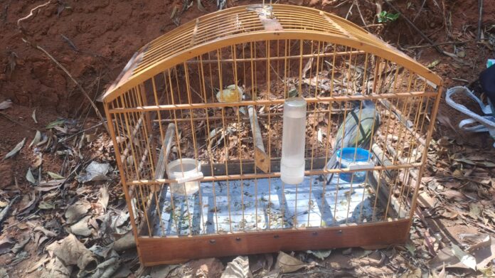 Três homens são detidos por caça ilegal em parque estadual de Campos do Jordão