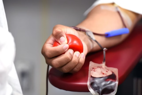 Santos aprova projeto de lei para criação de banco de sangue na Zona Noroeste