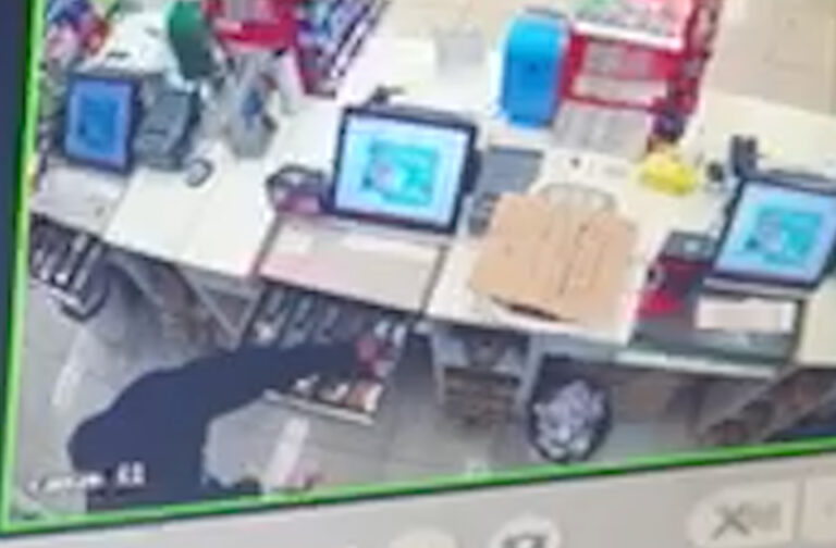 Bandidos invadem farmácia em Campinas e levam tudo