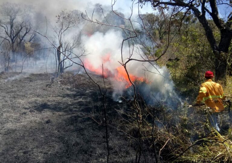 48 cidades estão em alerta máximo para incêndios no estado