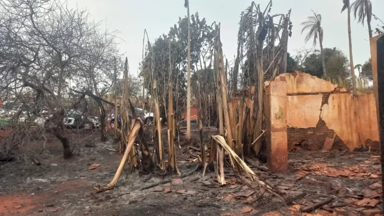 Defesa Civil emite alerta de risco elevado de incêndios interior de SP até quarta-feira