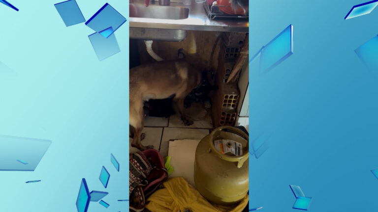 Traficante que exibia drogas nas redes sociais é preso em Piracicaba