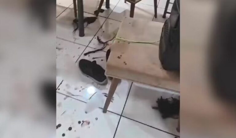 Ex-marido invade casa e agride mulher e namorado em bairro de Araçatuba