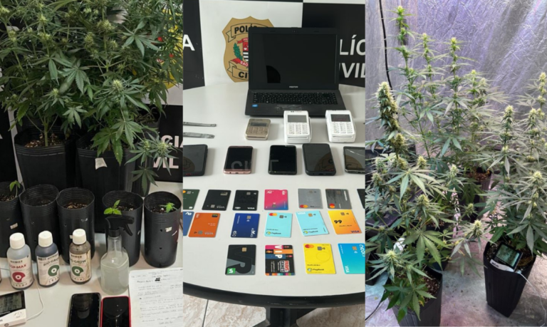 Mais de 10 pessoas são presas em operação contra roubos em cidades do litoral de SP e drogas são apreendidas