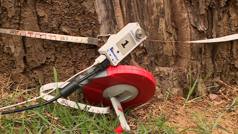 Com a aquisição, Campinas se torna a primeira cidade do Brasil a adotar essa iniciativa, que já está disponível para as equipes de arborização.