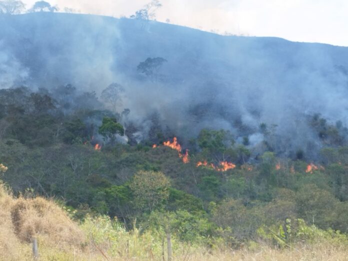 Vale do Paraíba tem incêndios ativos nesta quarta-feira (2)