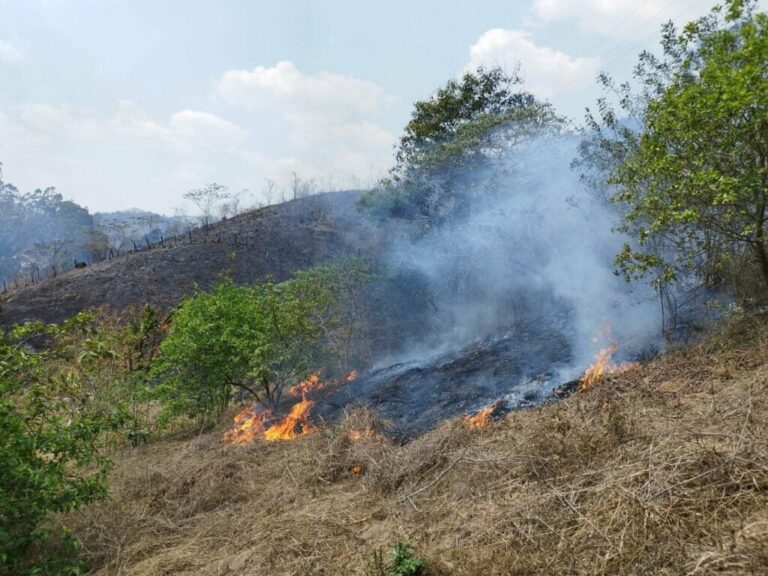 Três cidades do Vale do Paraíba têm focos de incêndio ativos