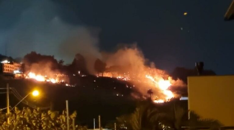 Incêndio em mata próxima à PUC-Campinas assusta estudantes e moradores