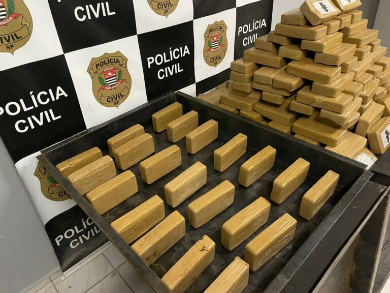 Caminhoneiro é preso com mais de 200 tijolos de cocaína, que abasteceriam o tráfico na Baixada Santista