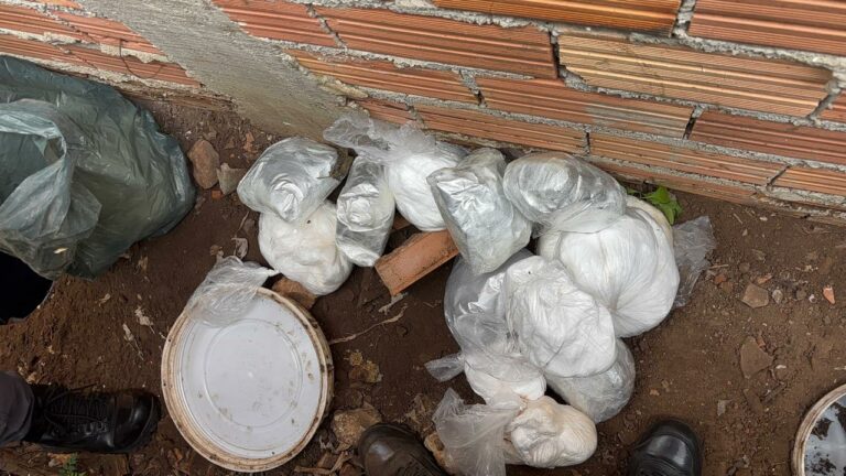 Polícia encontra 40 quilos de droga escondidos em tonéis
