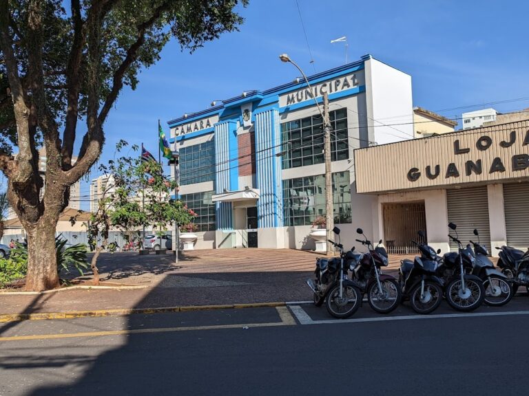 Confira a lista de vereadores eleitos em Araçatuba