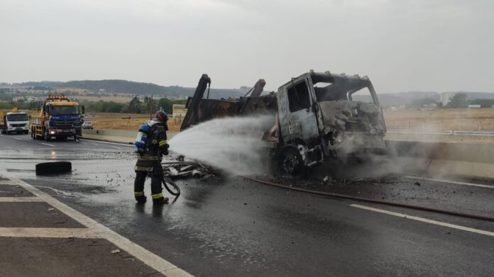 WhatsApp Image 2024-10-10 at 11.36.05 (1)