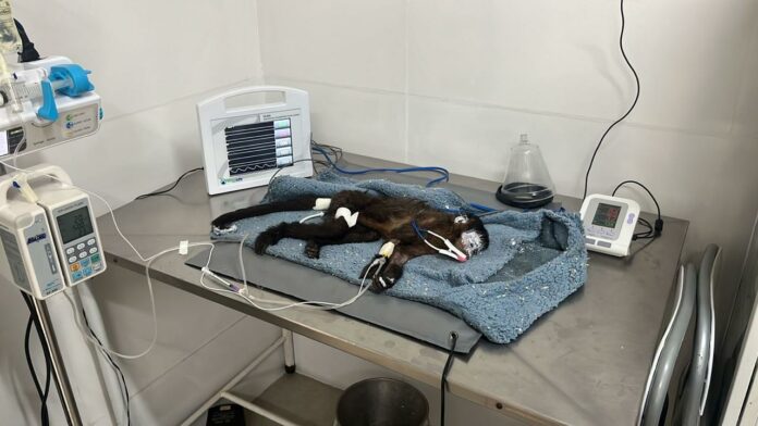 WhatsApp Image 2024-10-10 at 15.56.35