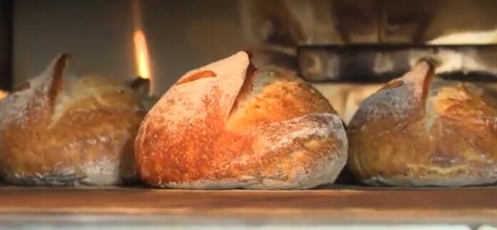 Dia do Pão: mercado das padarias cresce no Brasil