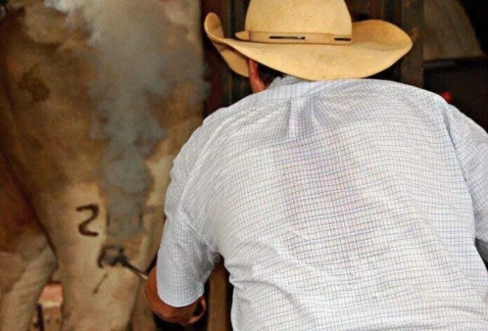 WhatsApp Image 2024-10-22 at 08.29.32