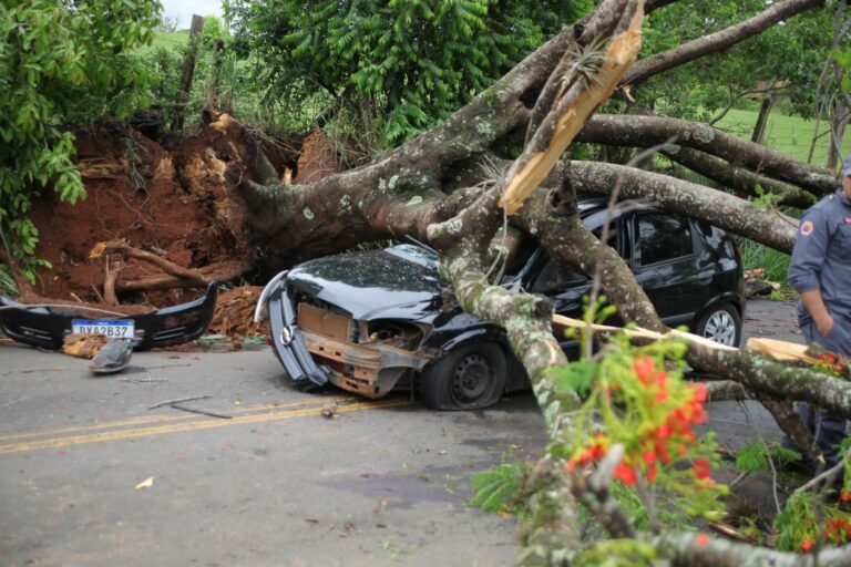 Tragédia: Homem morre ao ser atingido por queda de árvore em Itapira