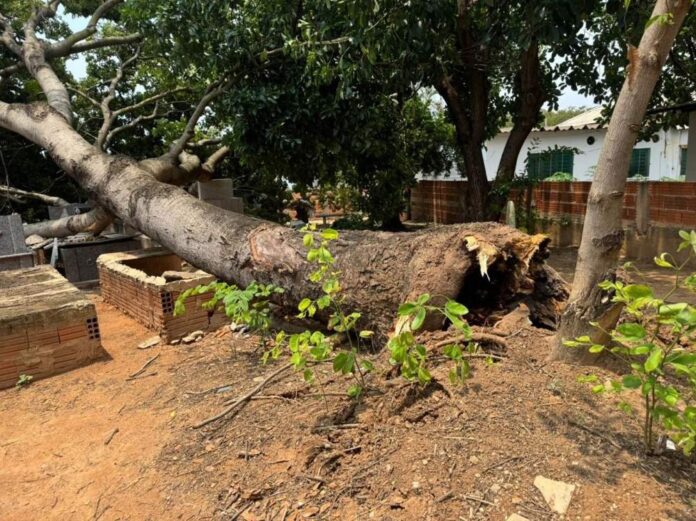 WhatsApp Image 2024-10-25 at 15.16.10